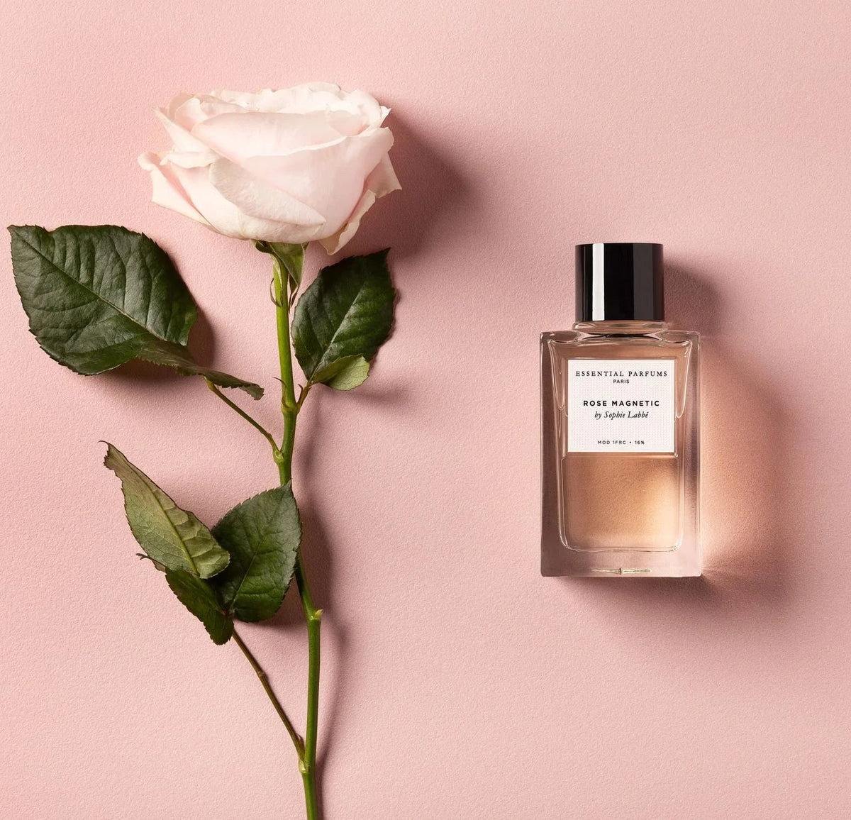 Rose Magnetic - Decant / Sample