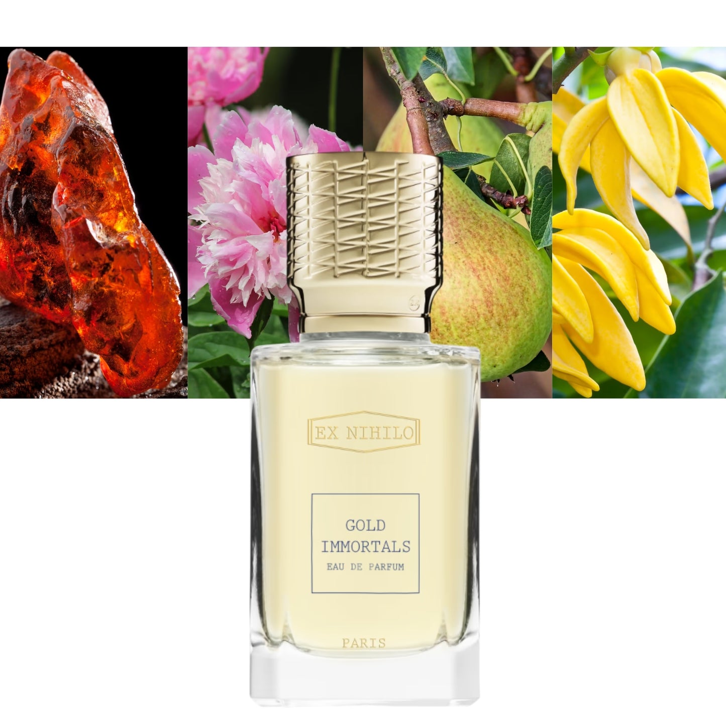 Gold Immortals EDP - Decant / Full Bottle