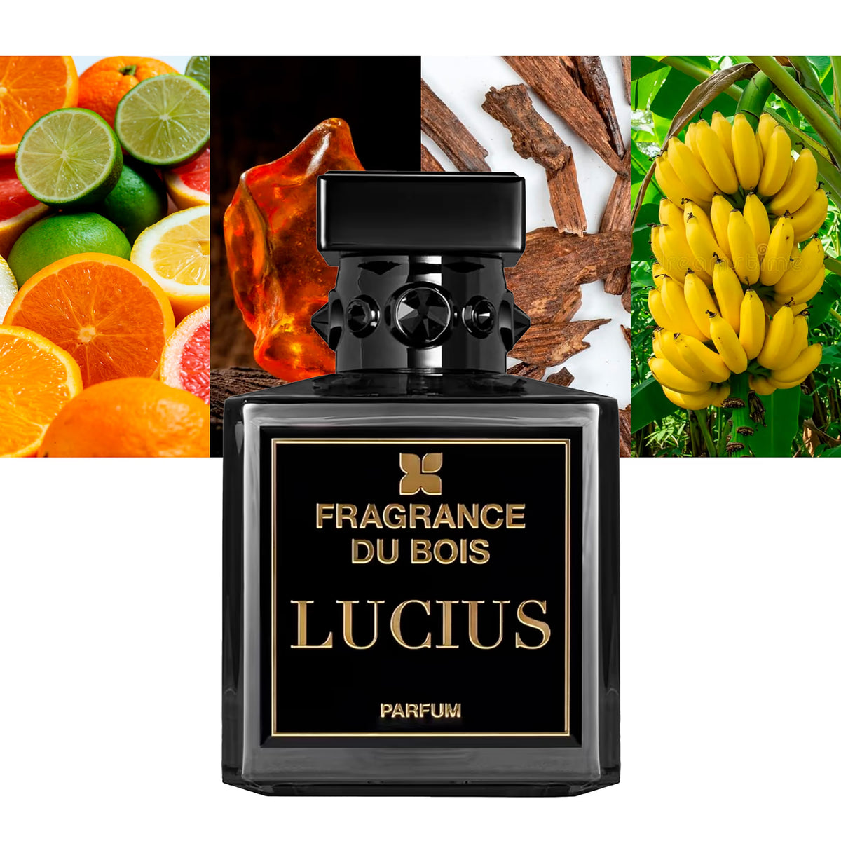 Lucius Parfum - Decant / Full Bottle