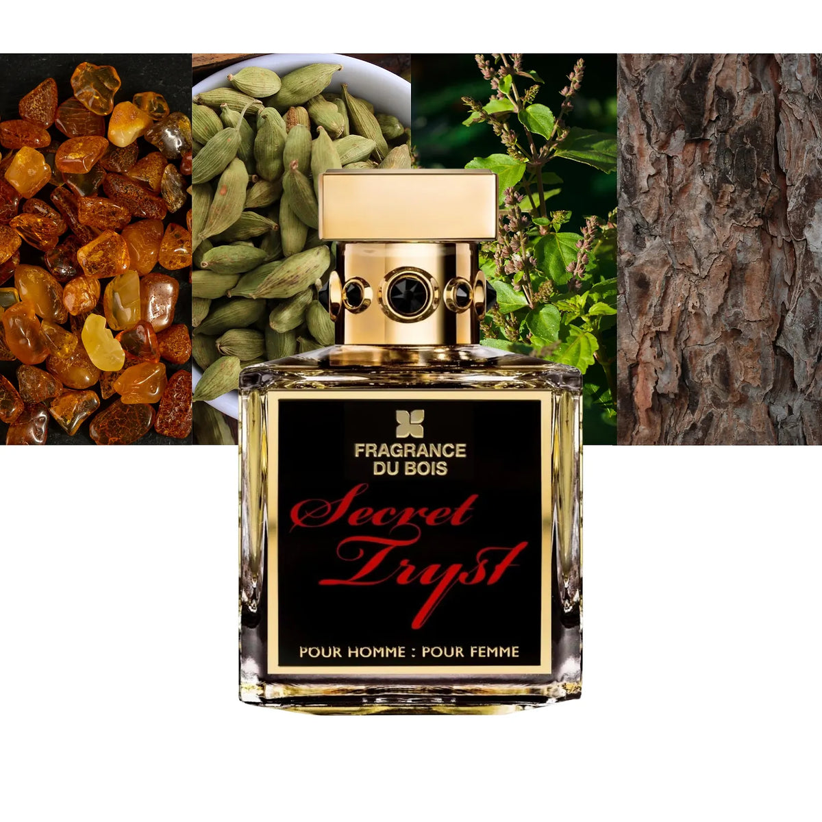 Secret Tryst - Decant / Full Bottle