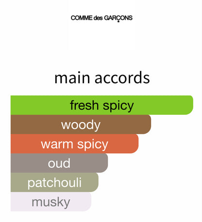 Blackpepper by Comme des Garçons - Decant