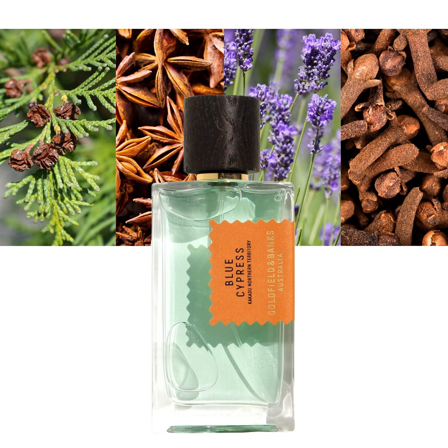 Blue Cypress - Decant / Full Bottle