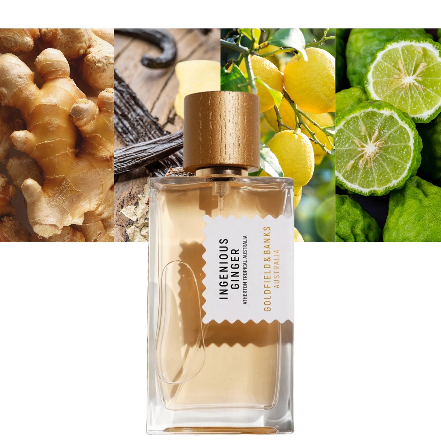 Ingenious Ginger - Decant / Full Bottle