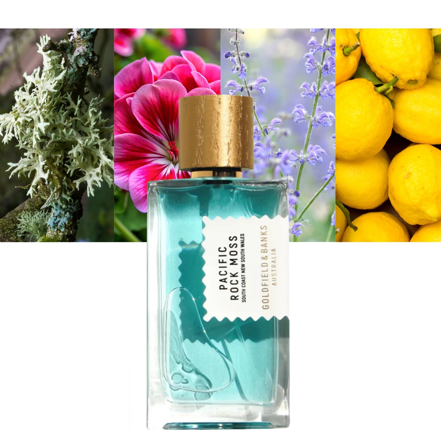 Pacific Rock Moss - Decant / Full Bottle