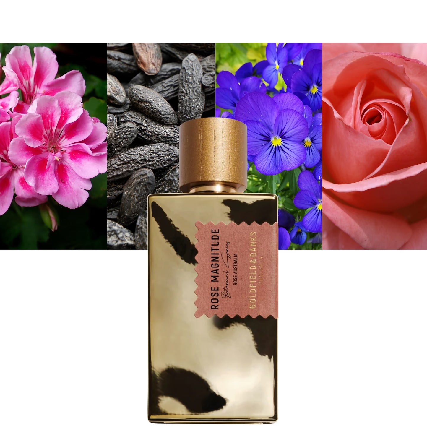 Rose Magnitude - Decant / Full Bottle