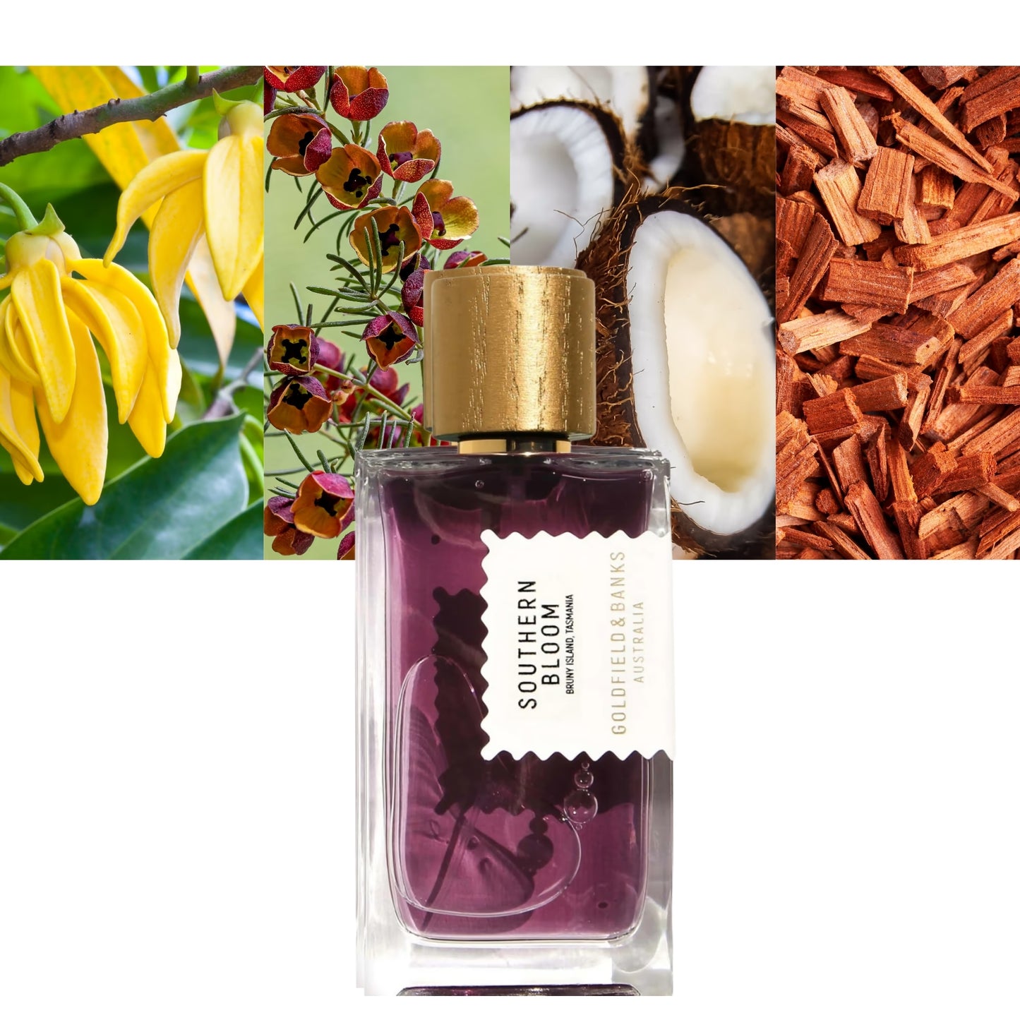 Southern Bloom - Decant / Full Bottle