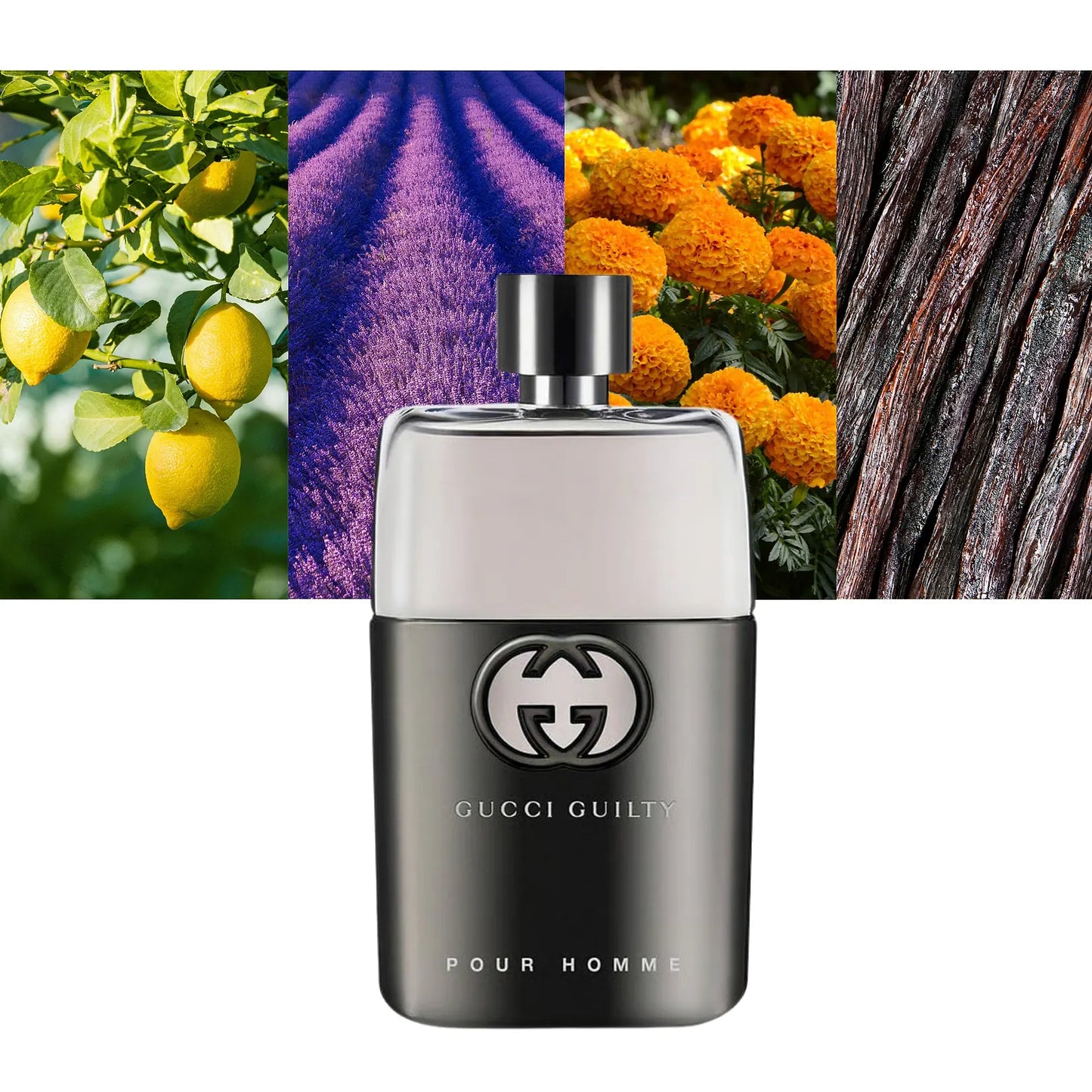 Gucci Guilty Pour Homme EDT - Decant / Sample
