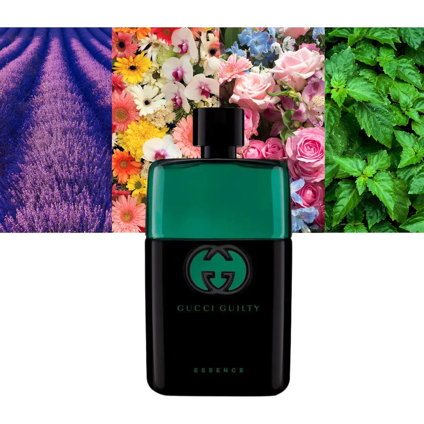 Gucci Guilty Pour Homme Essence - Decant / Sample
