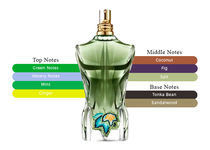 Le Beau Paradise Garden by Jean Paul Gaultier - Decant