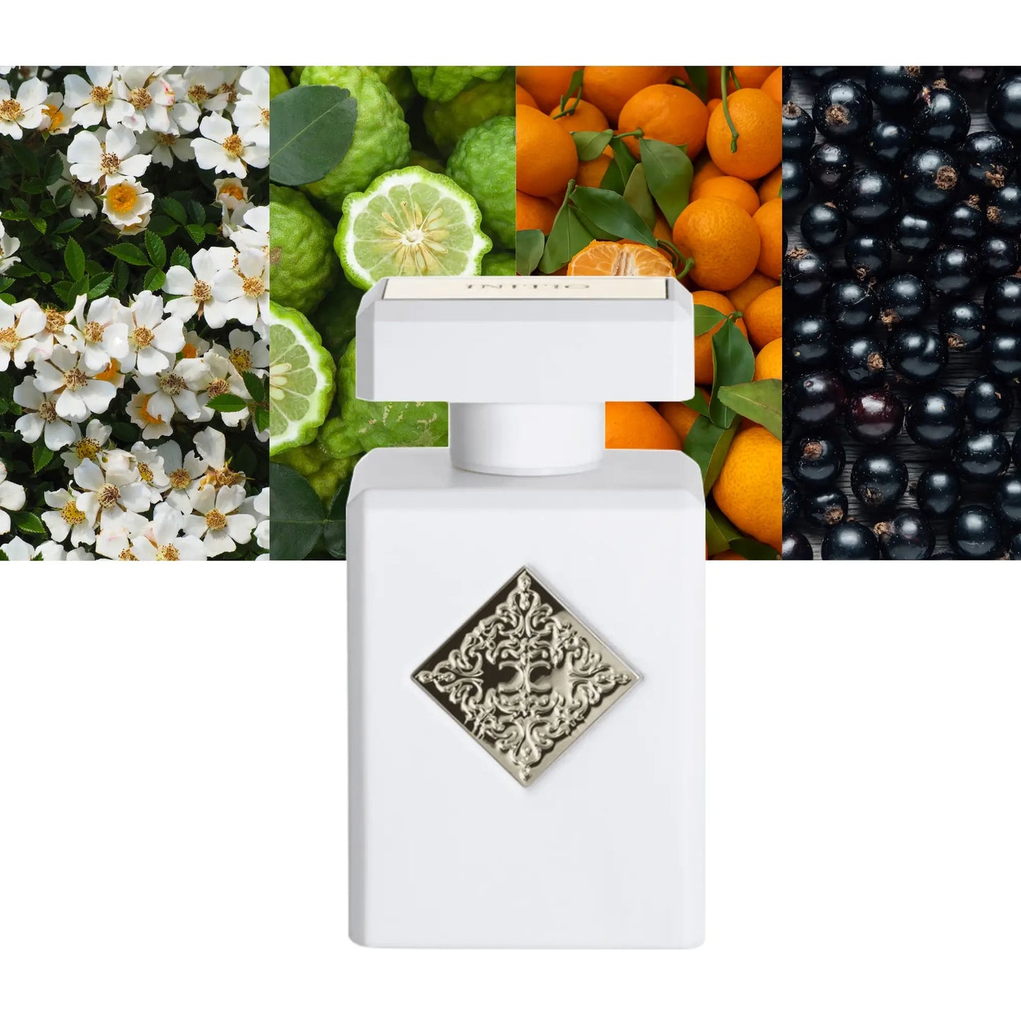 Musk Therapy - Decant / Full Bottle