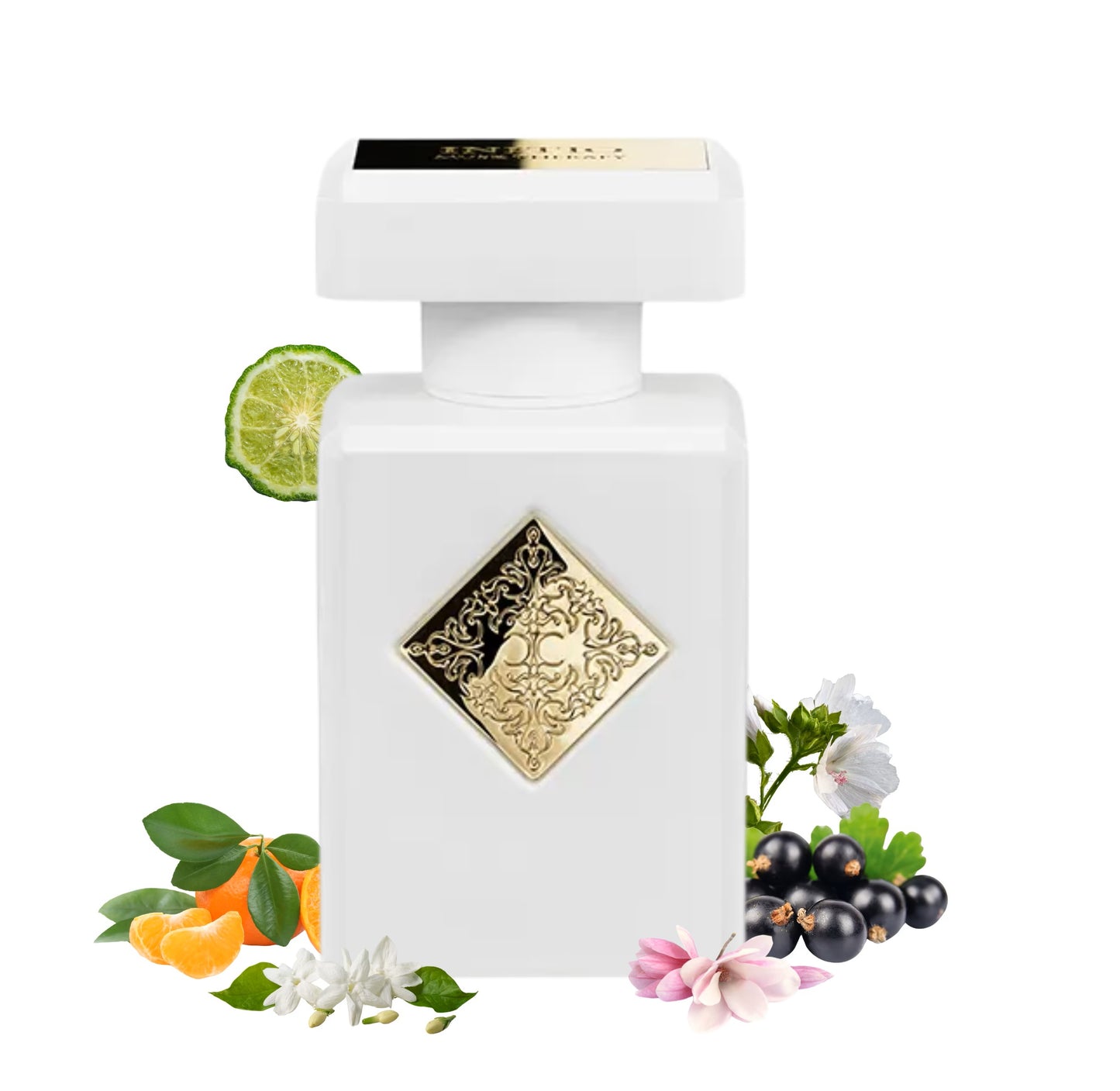 Musk Therapy - Decant / Full Bottle