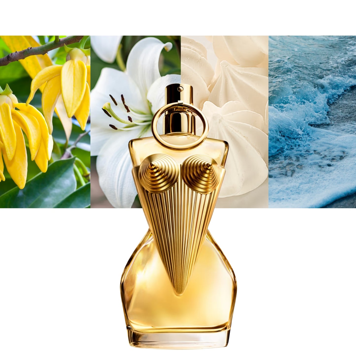 JPG Divine EDP - Decant / Full Bottle
