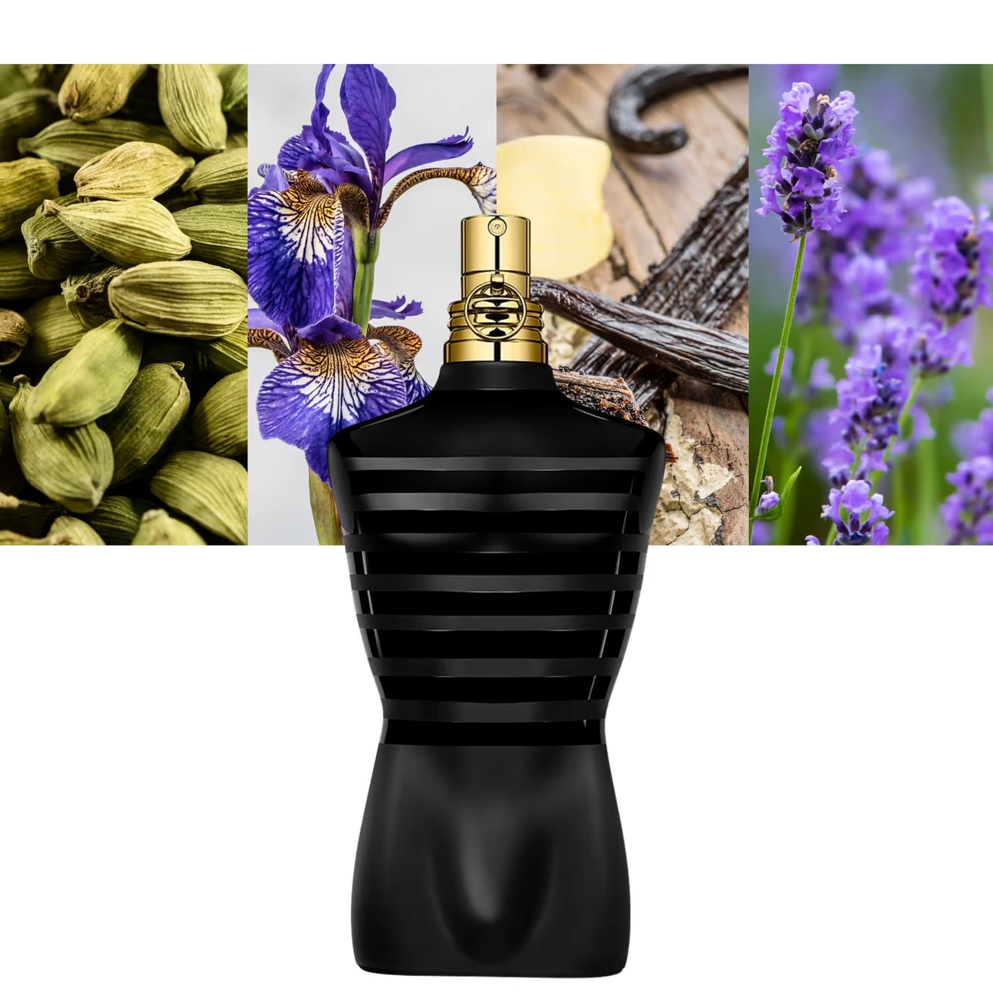 JPG Le Male Le Parfum - Decant / Full Bottle