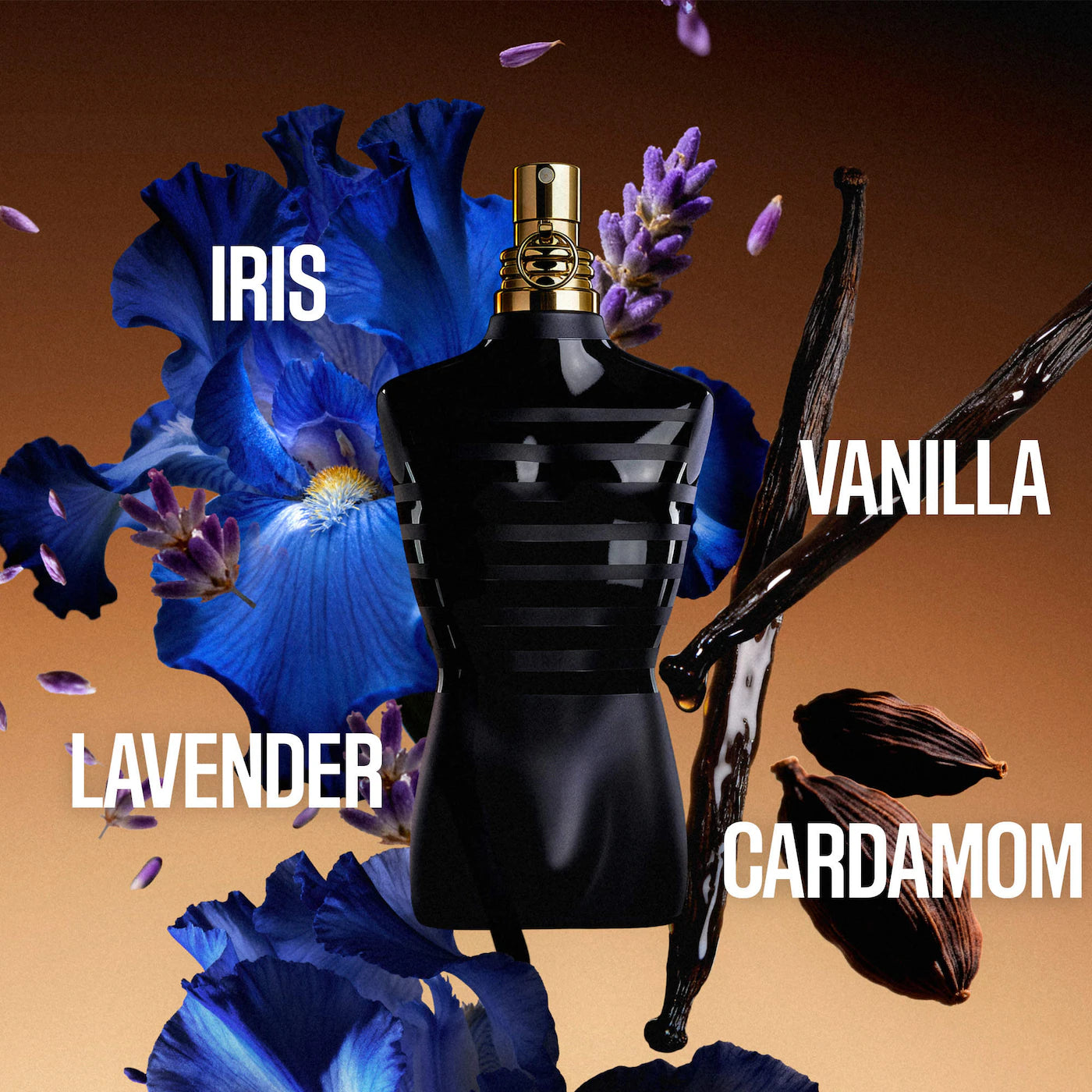 JPG Le Male Le Parfum - Decant / Full Bottle