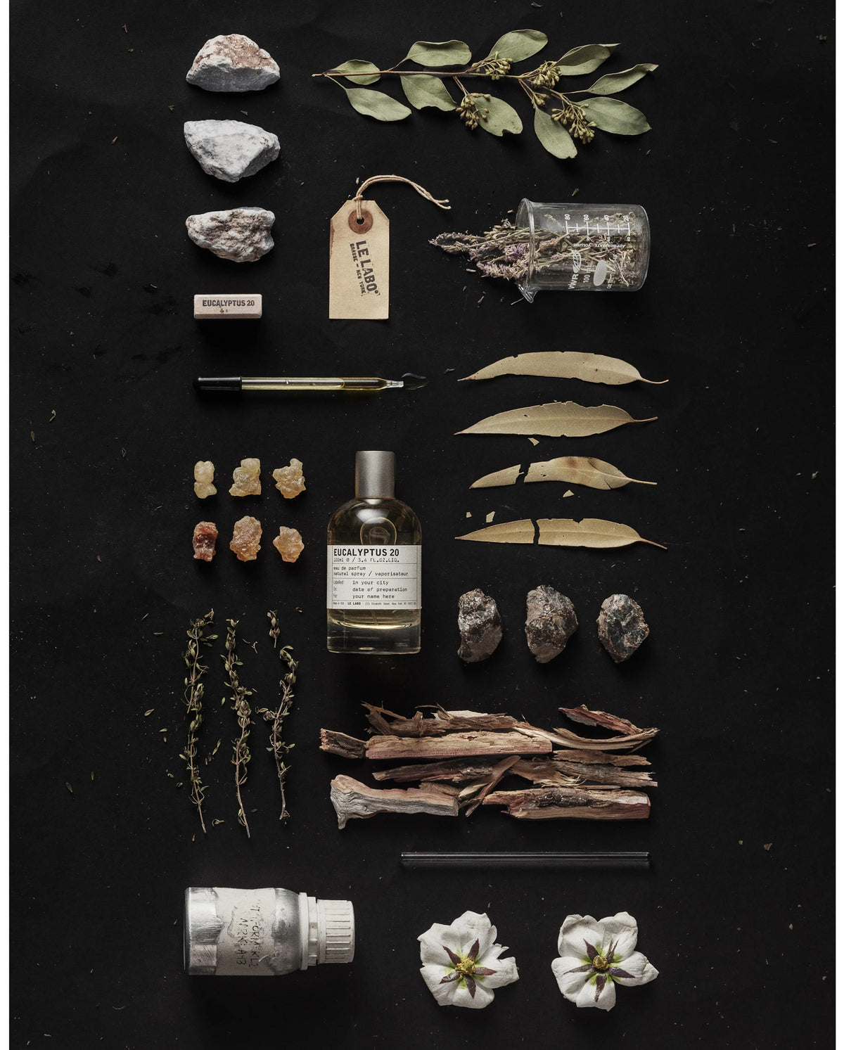 Eucalyptus 20 - Decant / Sample
