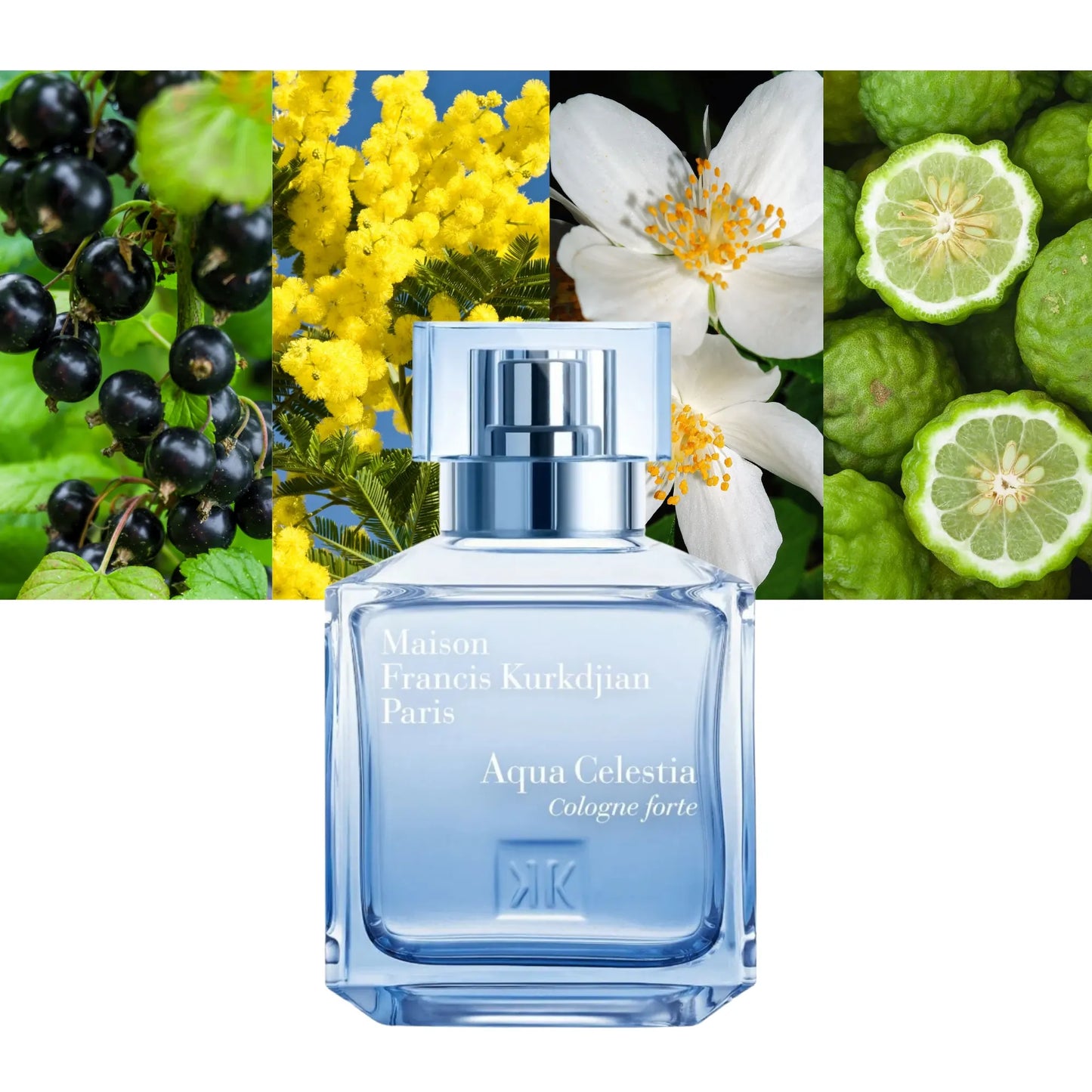 Aqua Celestia Cologne Forte - Decant / Full Bottle