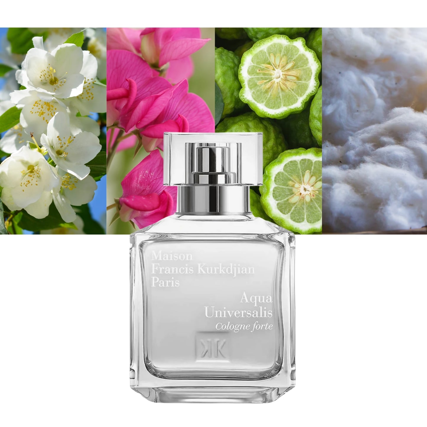 Aqua Universalis Cologne Forte - Decant / Full Bottle