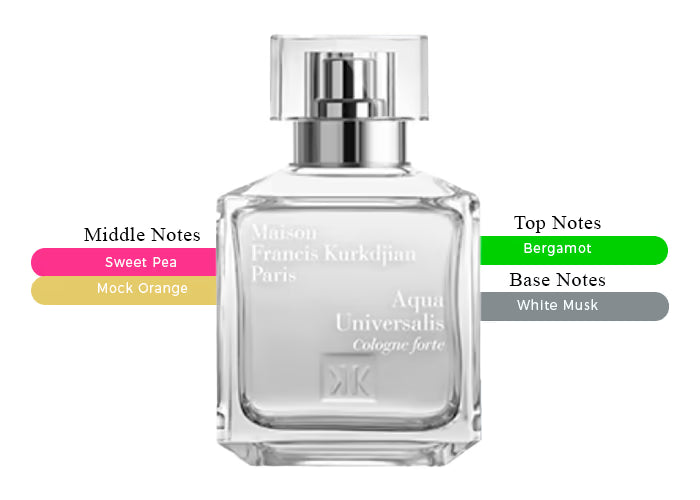 Aqua Universalis Cologne Forte - Decant / Full Bottle