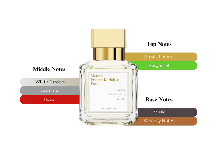 Aqua Universalis Forte - Decant / Full Bottle