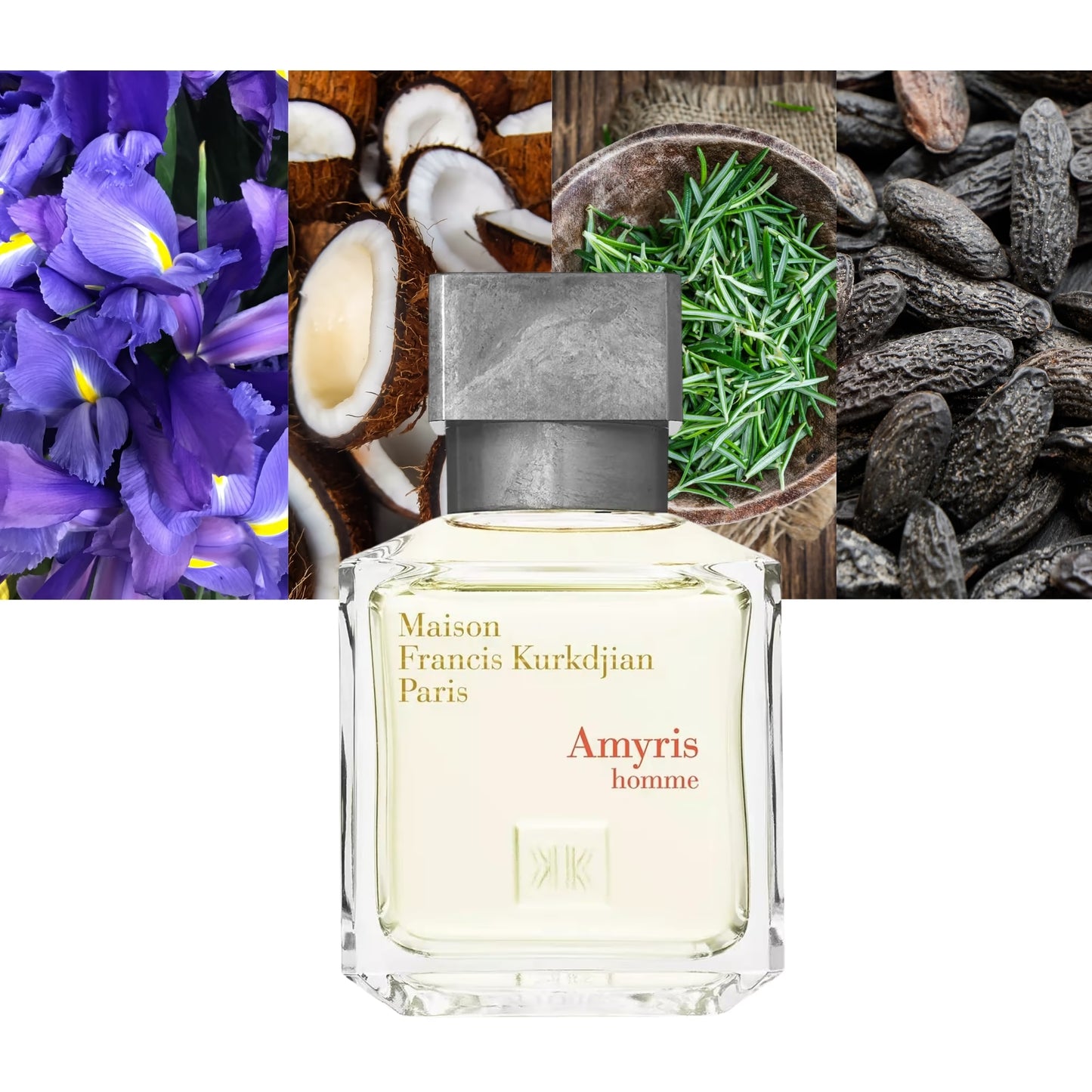 Amyris Homme EDT - Decant / Sample