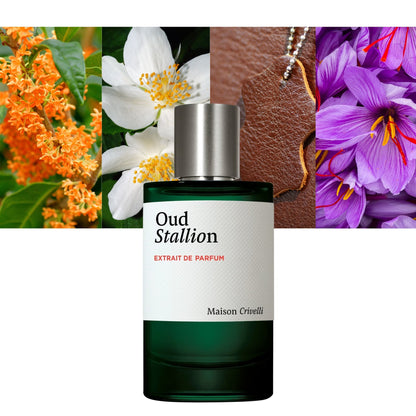 Oud Stallion - Decant / Full Bottle