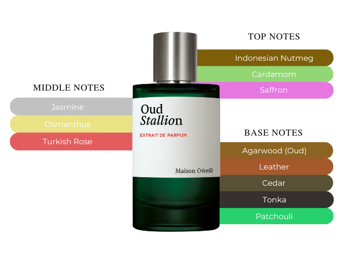 Oud Stallion - Decant / Full Bottle
