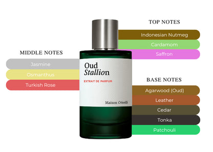Oud Stallion - Decant / Full Bottle