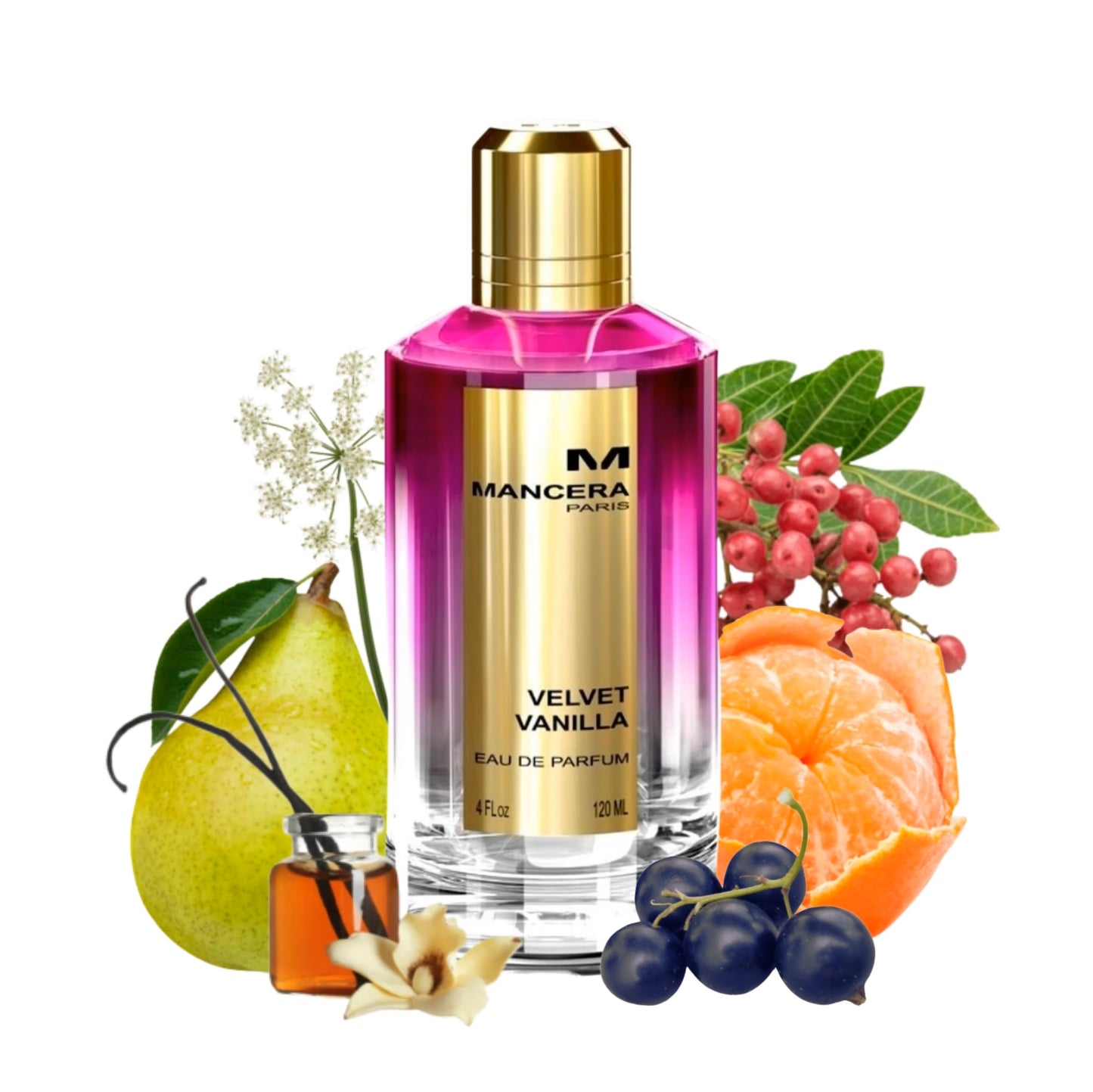 Velvet Vanilla by Mancera - Decant / Sample