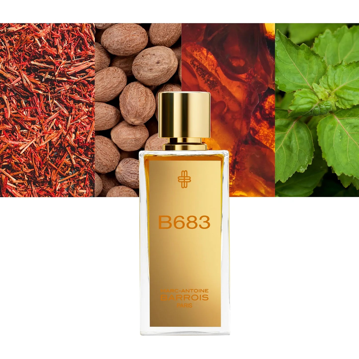 B683 EDP - Decant / Sample