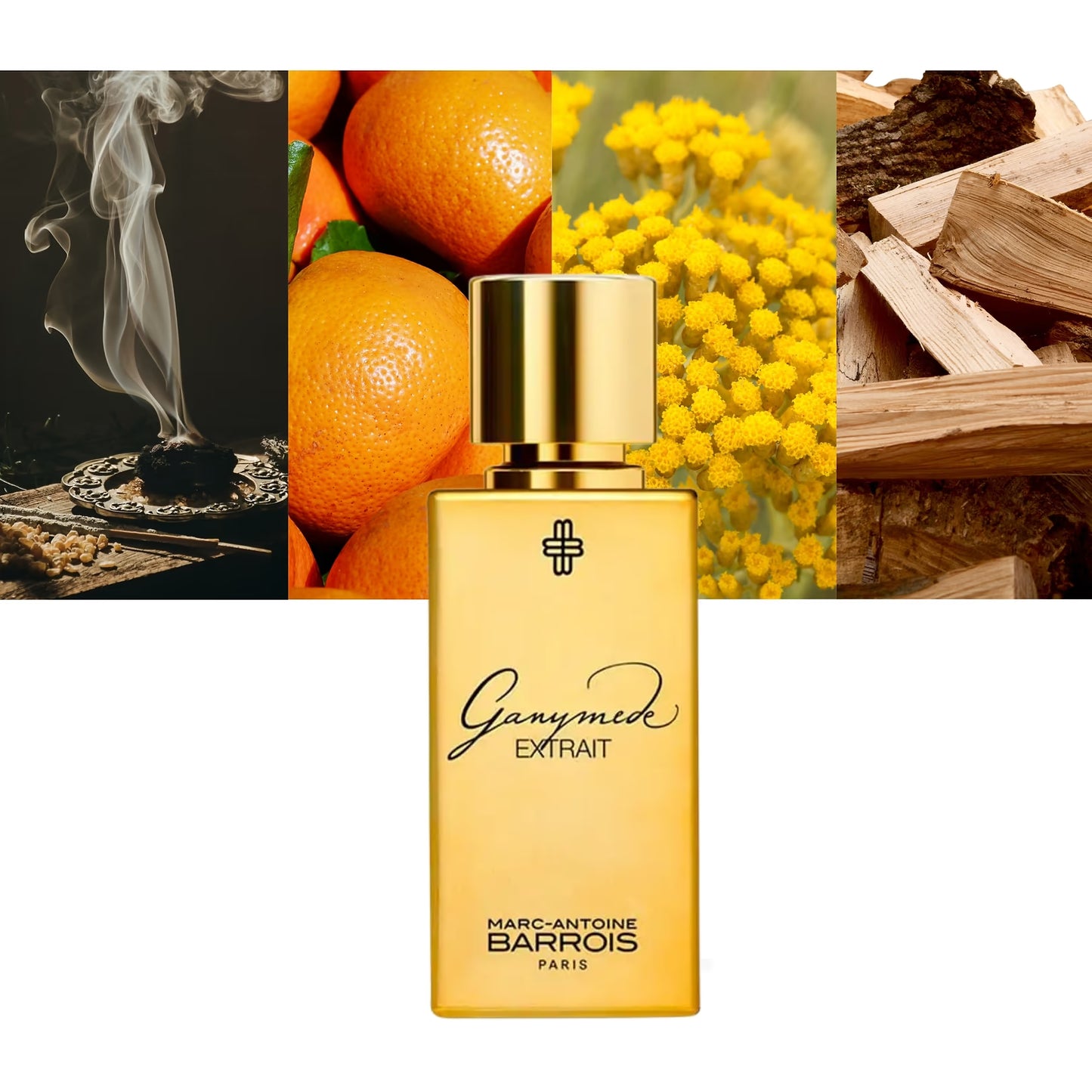 Ganymede Extrait - Decant / Full Bottle