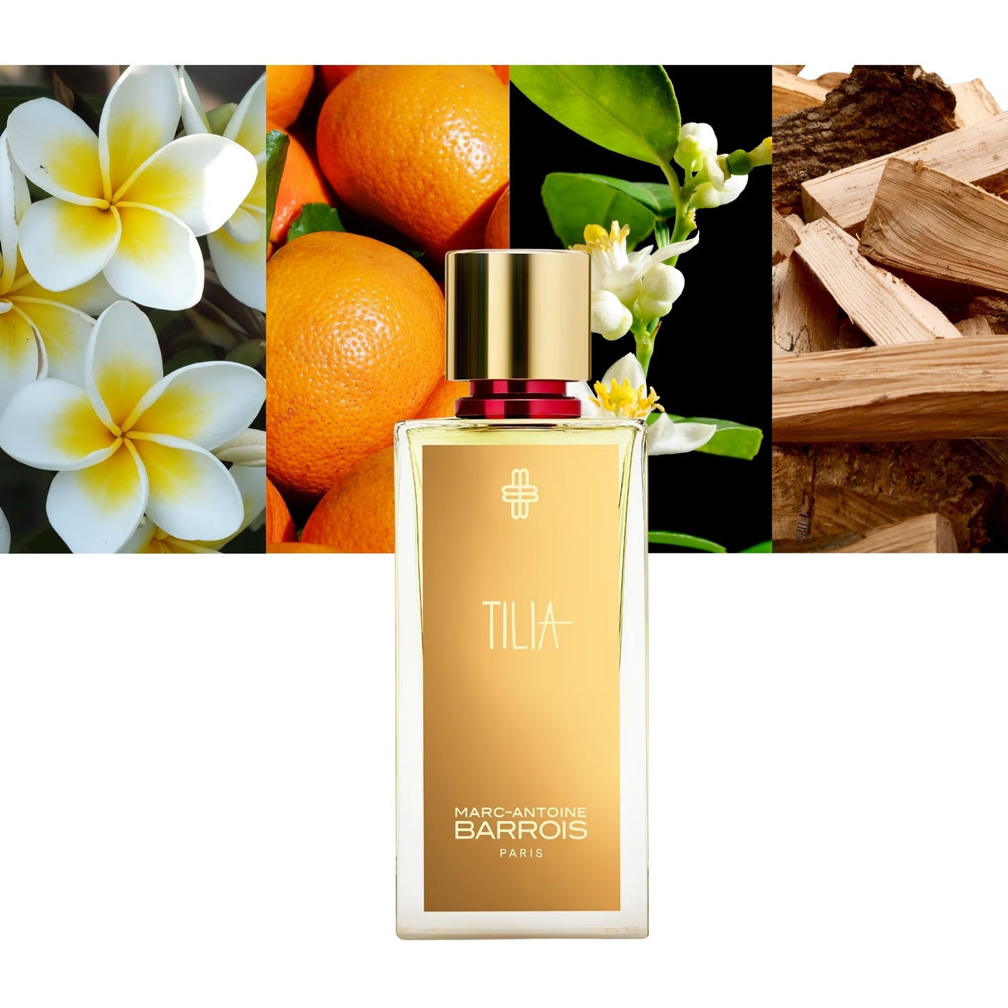 Tilia - Decant / Sample
