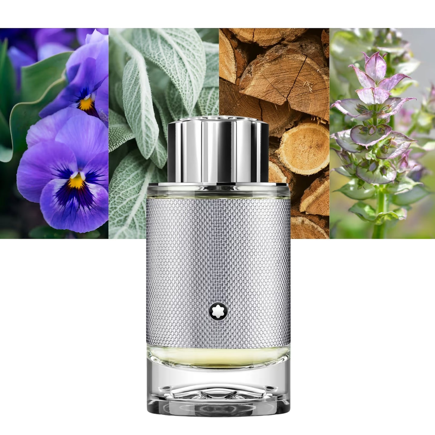Explorer Platinum - Decant / Sample