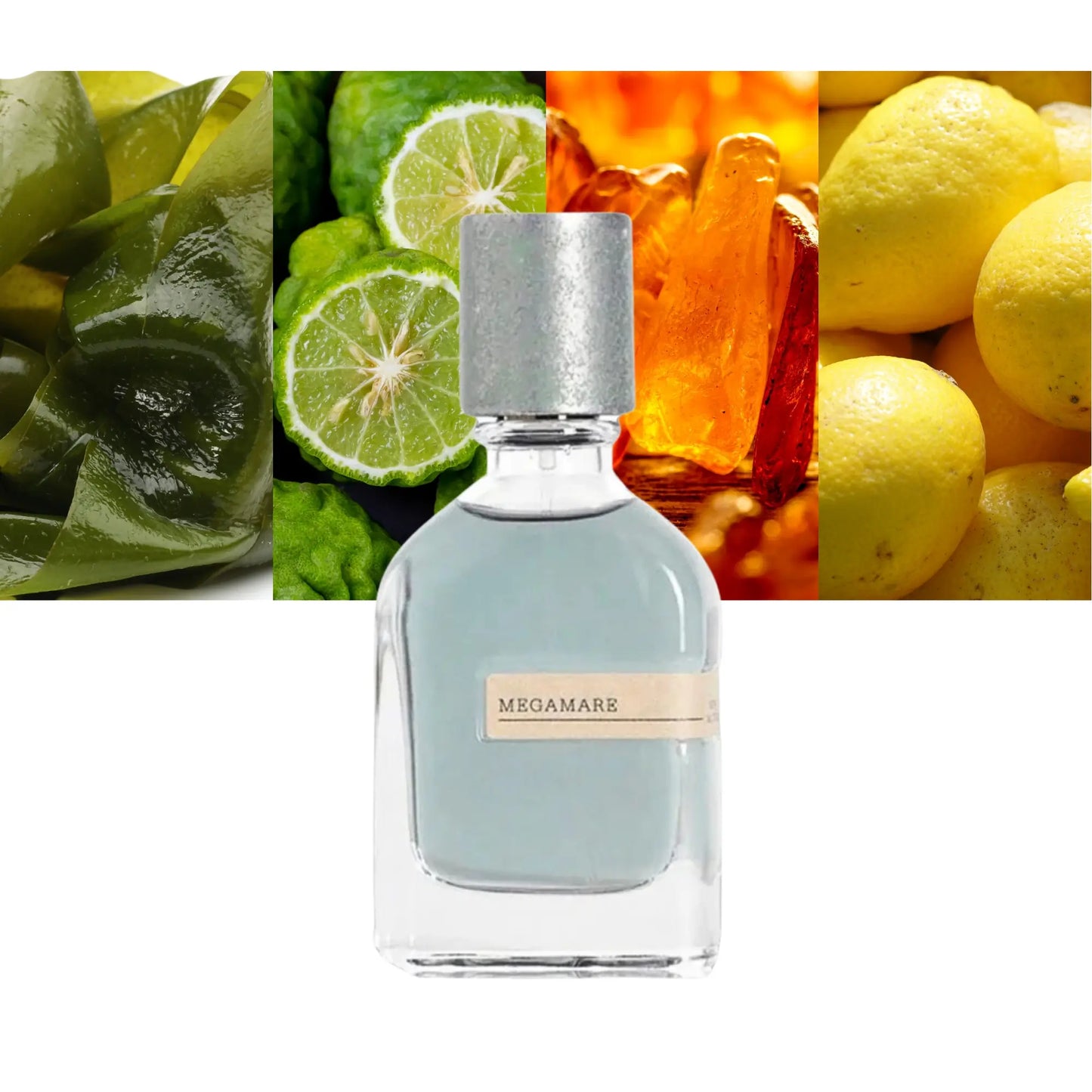 Megamare by Orto Parisi - Decant / Sample