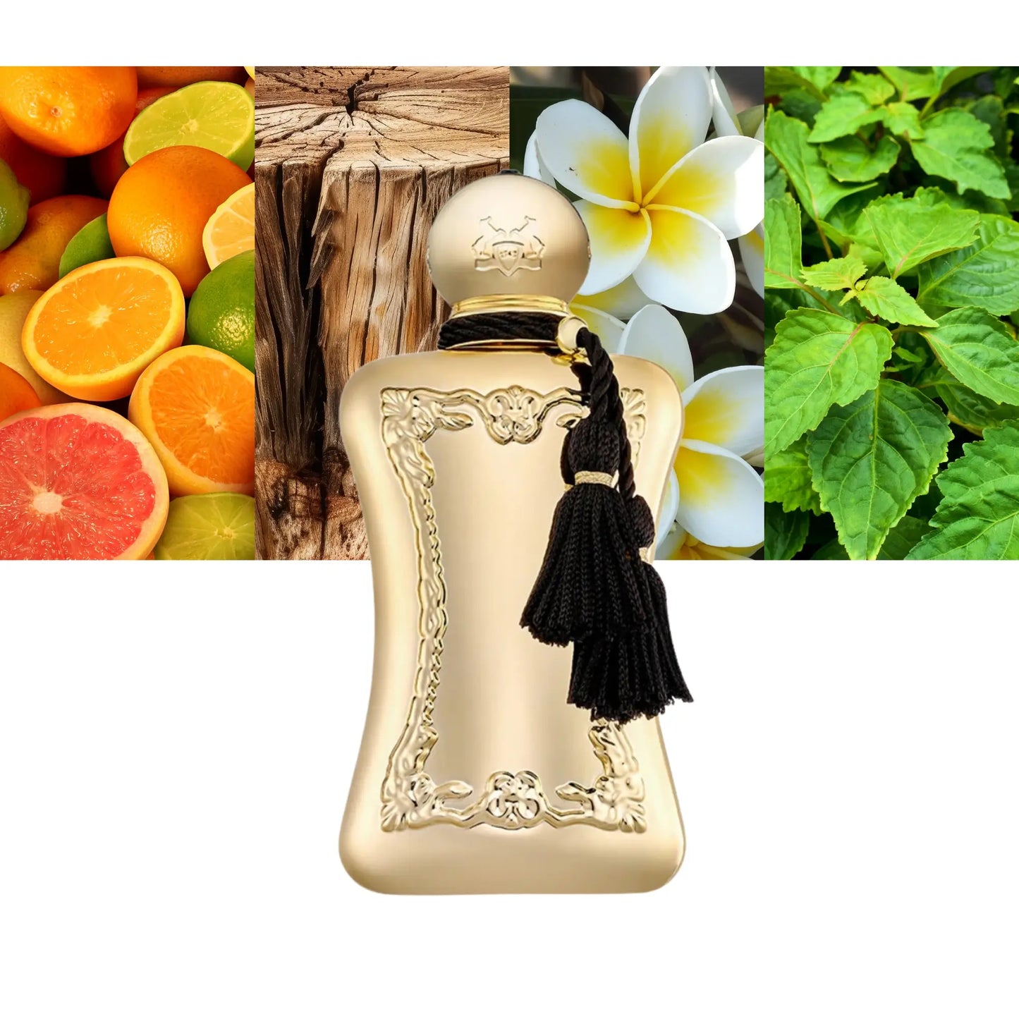 Darcy - Decant / Full Bottle