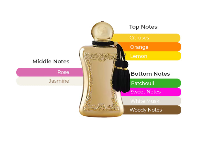 Darcy - Decant / Full Bottle