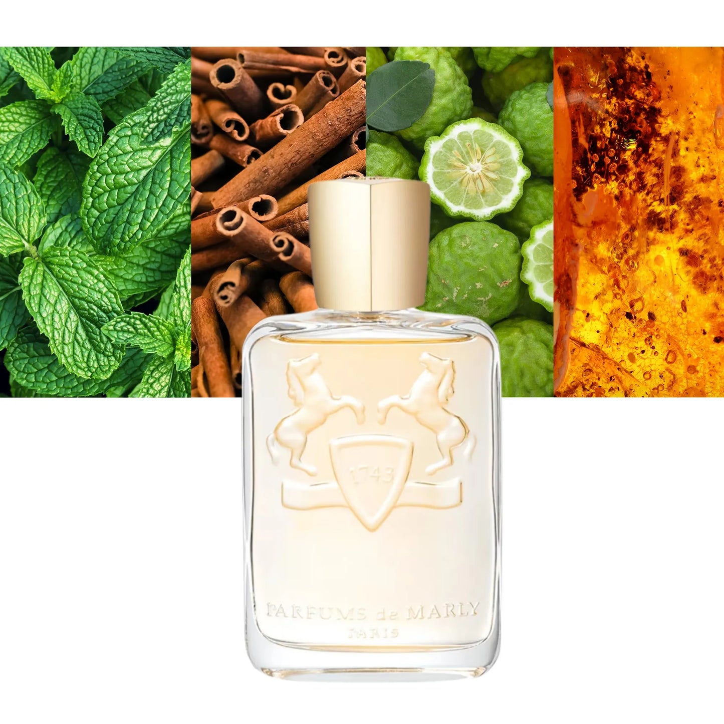 Darley - Decant / Full Bottle