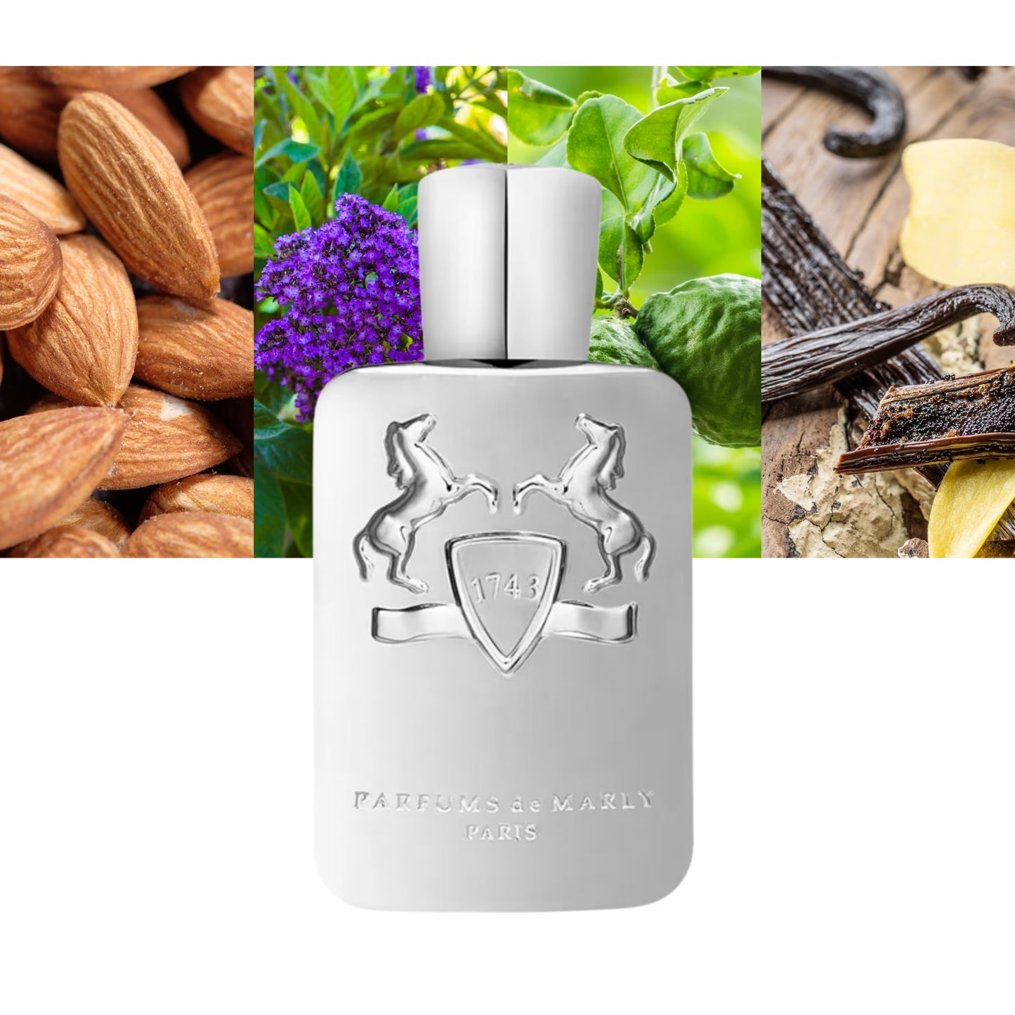 Pegasus - Decant / Full Bottle