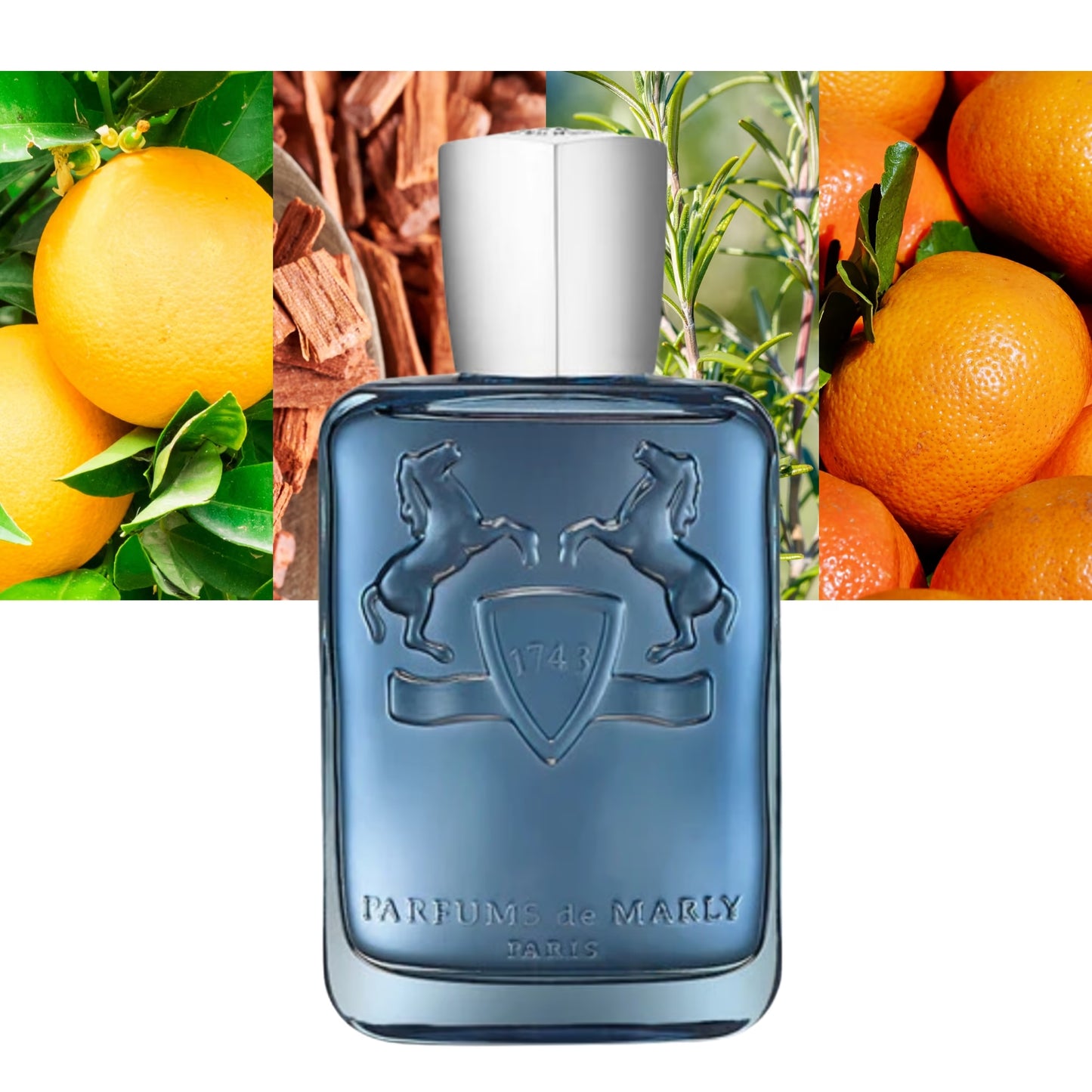 Sedley - Decant / Full Bottle