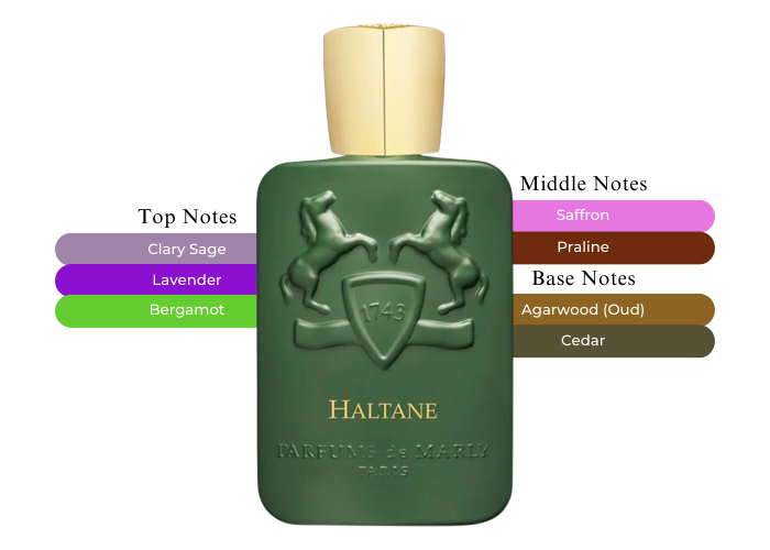 Haltane by Parfums de Marly - Decant / Sample