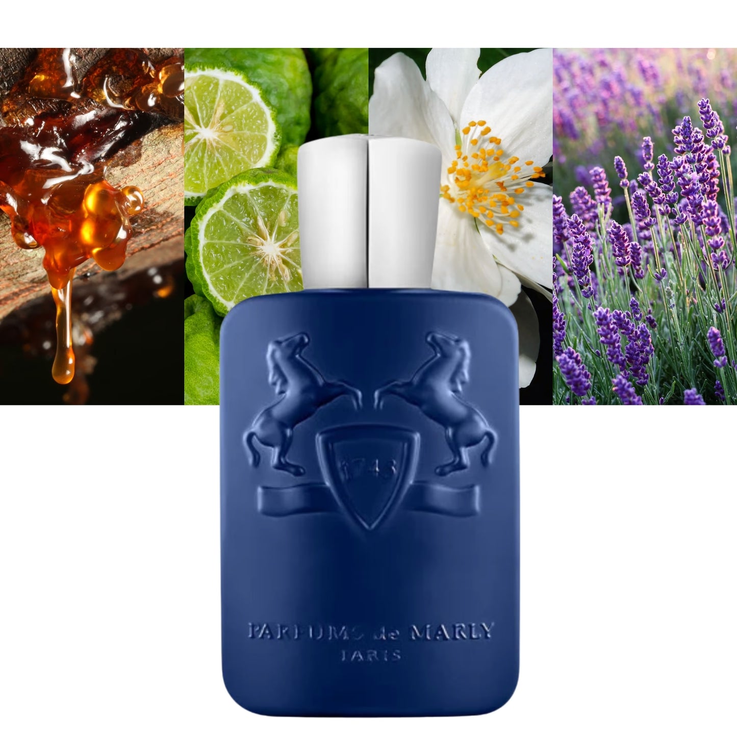Percival - Decant / Full Bottle