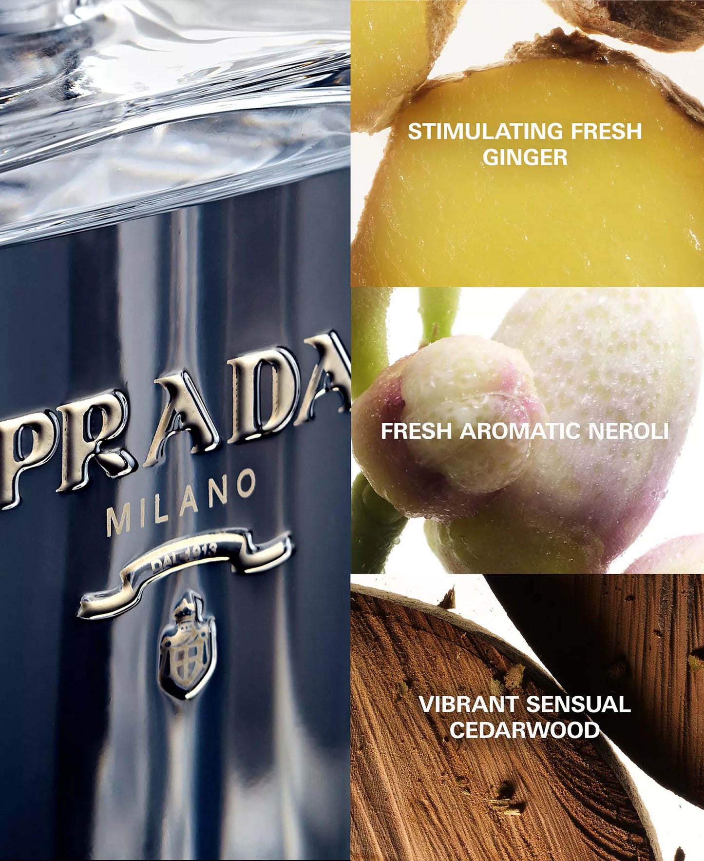 Prada L'Homme EDT - Decant / Sample