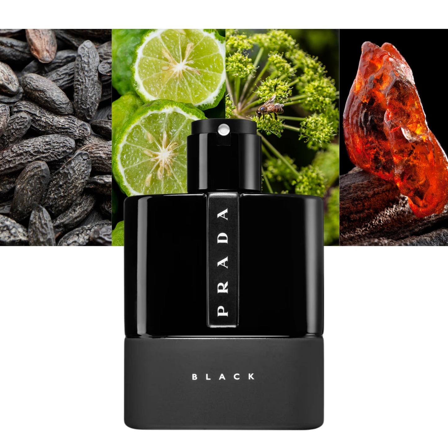 Luna Rossa Black EDP - Decant / Sample