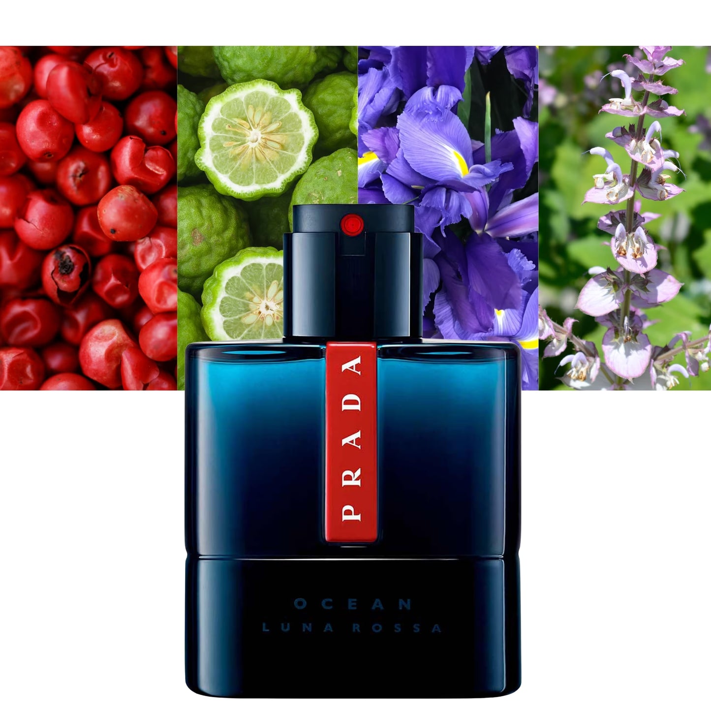 Luna Rossa Ocean EDT - Decant / Sample