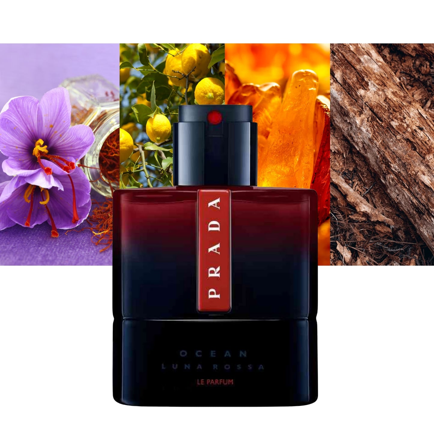 Luna Rossa Ocean Le Parfum - Decant / Sample