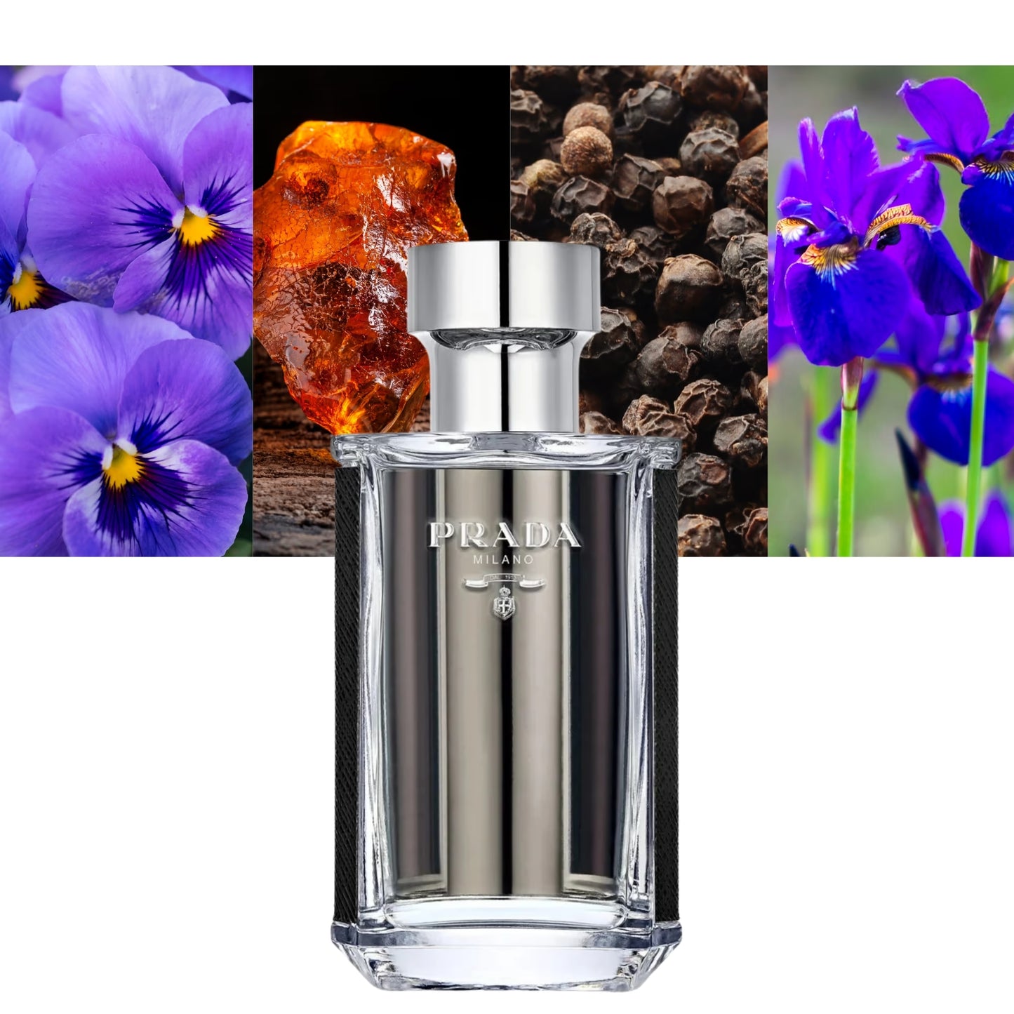 Prada L'Homme EDT - Decant / Sample