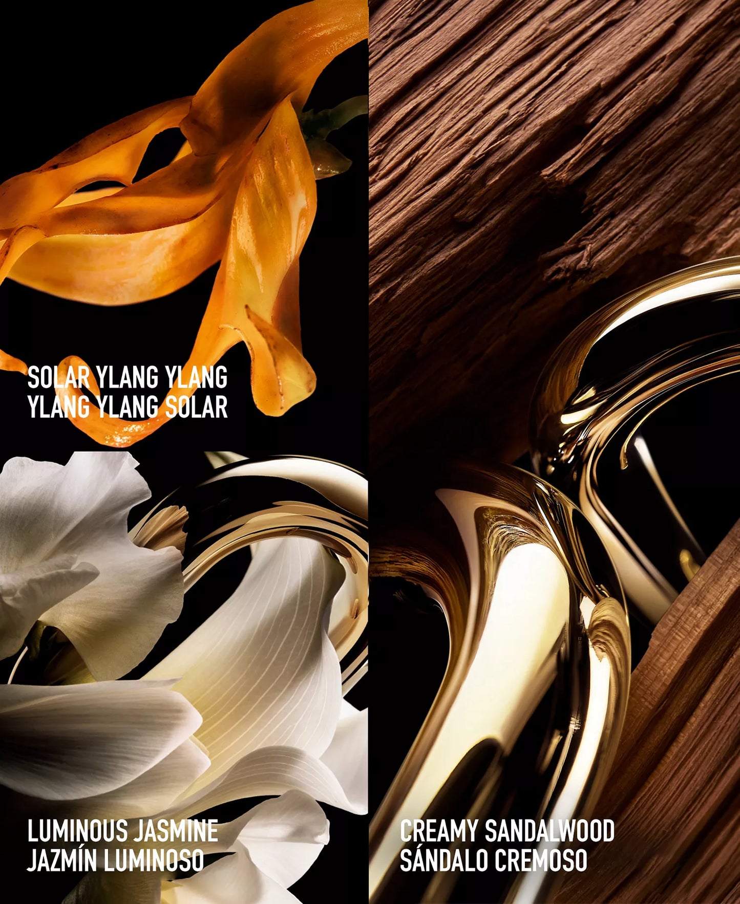 Million Gold For Her Parfum - Decant / Sample