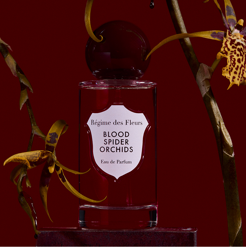 Blood Spider Orchids - Decant / Sample