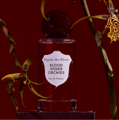 Blood Spider Orchids - Decant / Sample