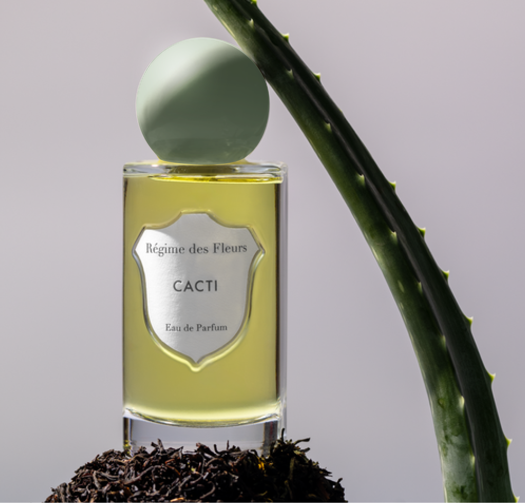 Cacti - Decant / Sample