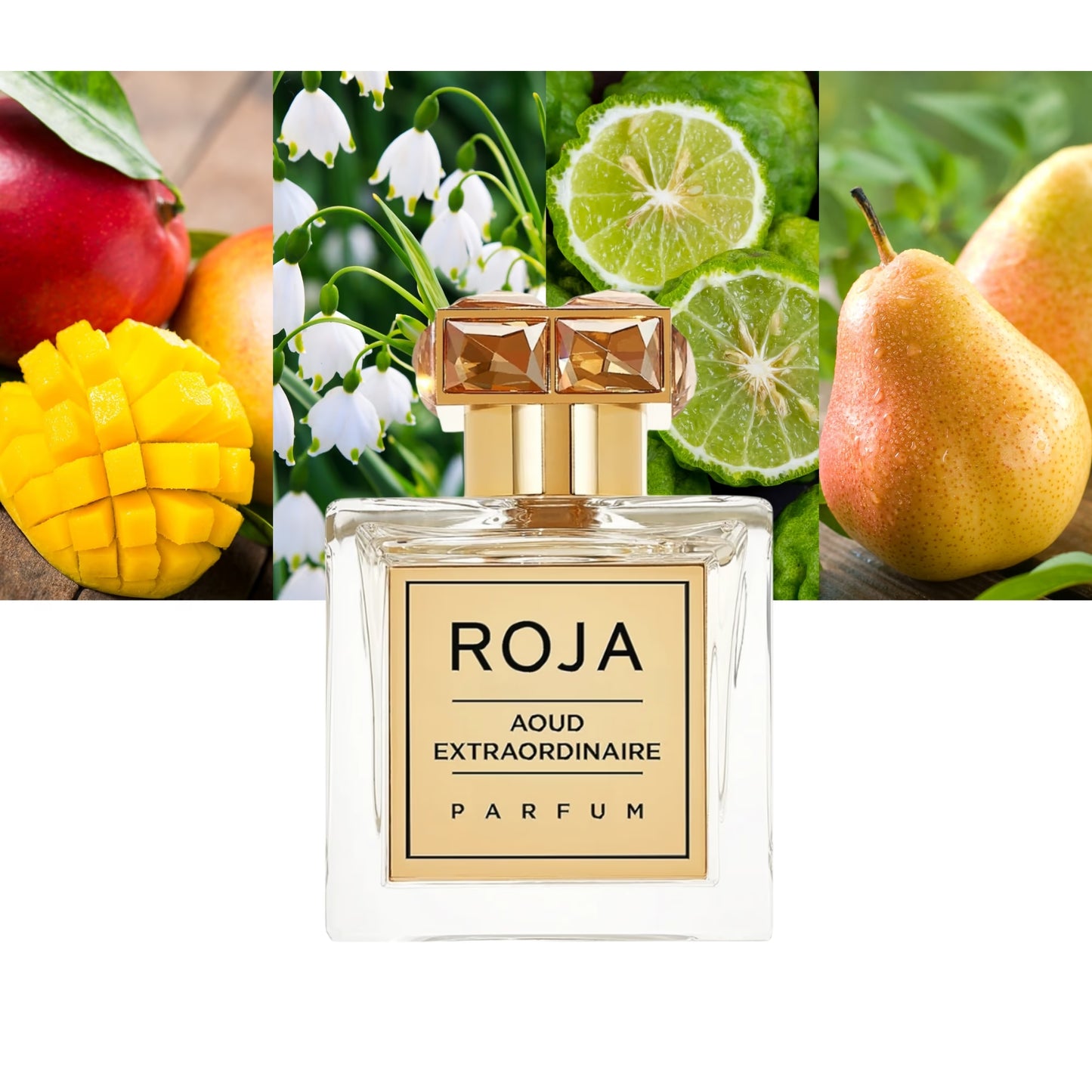 Aoud Extraordinaire Parfum - Decant / Full Bottle